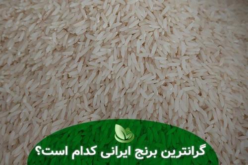 گران ترین برنج ایرانی کدام است؟