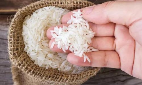 خصوصیت های برنج ایرانی، پاکستانی و هندی را بشناسید