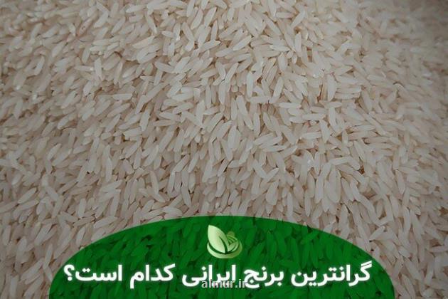 گران ترین برنج ایرانی کدام است؟