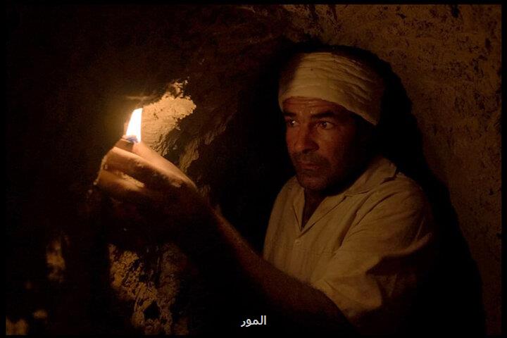 حضور ایساتیس در ۳ جشنواره