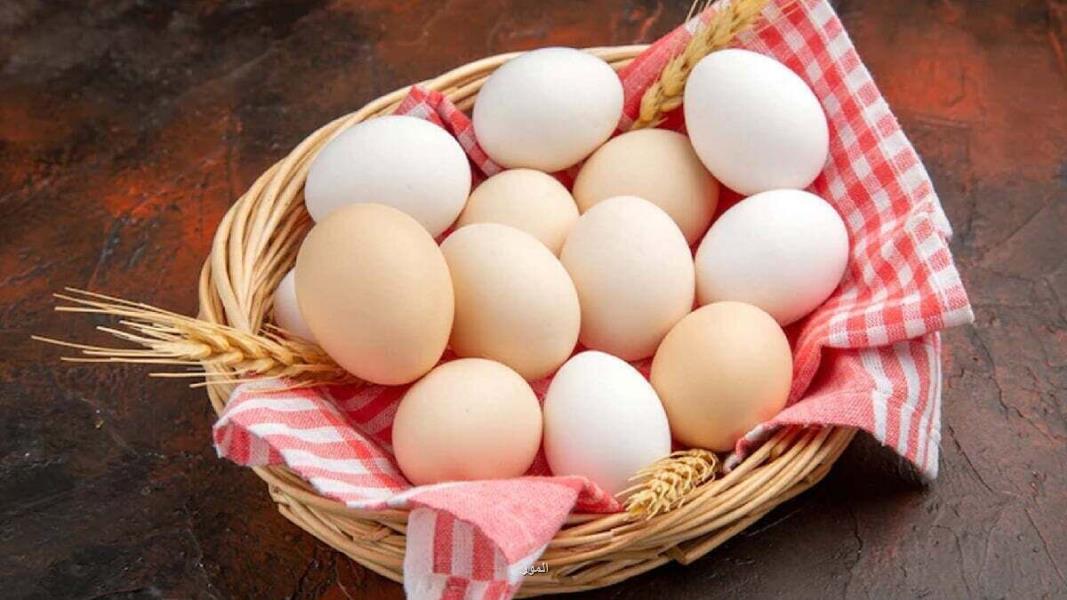 قیمت تخم مرغ در بازار تهران