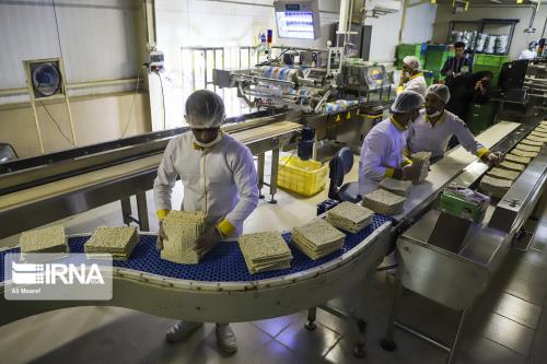 سیر نزولی نرخ مشارکت اقتصادی با وجود افزایش نیروی کار