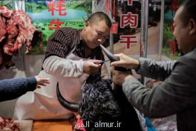 كنگره ملی چین تجارت و مصرف حیوانات وحشی را ممنوع كرد
