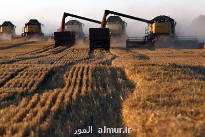 روسیه امسال دومین برداشت بزرگ غلات در تاریخ خودرا خواهد داشت